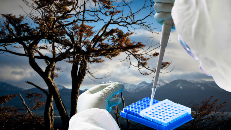 PCR para inventariar la Patagonia