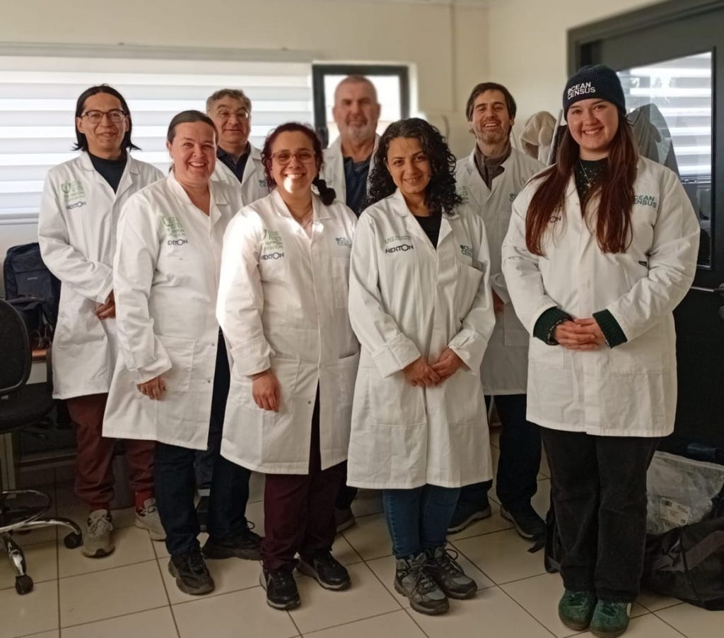 Ocean Census y la importancia de las ciencias básicas en el océano